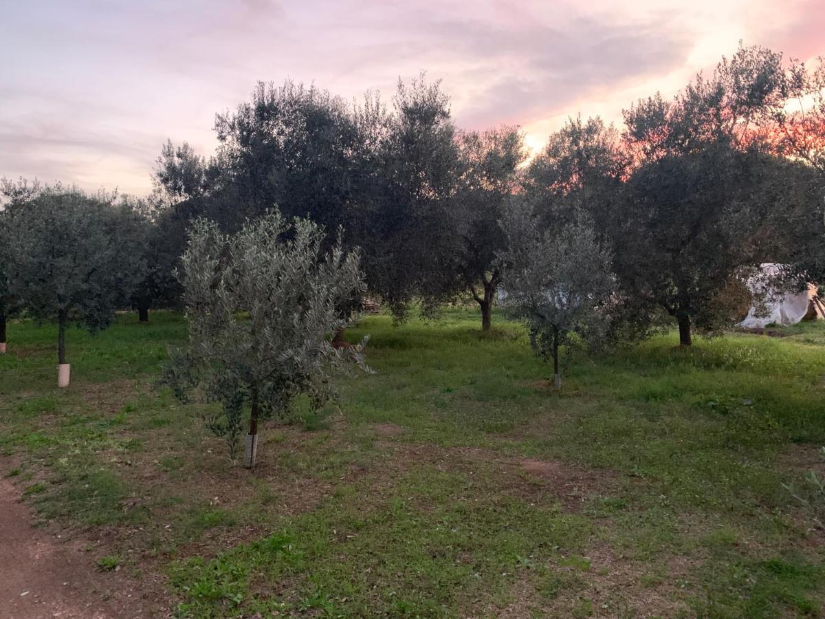 Camera Graziosa Albinia Kültér fotó