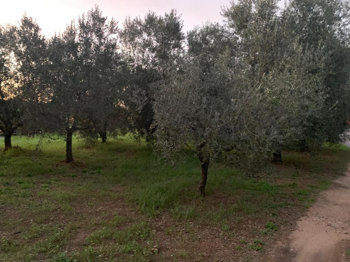 Camera Graziosa Albinia Kültér fotó