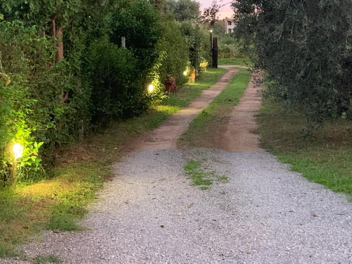 Camera Graziosa Albinia Kültér fotó